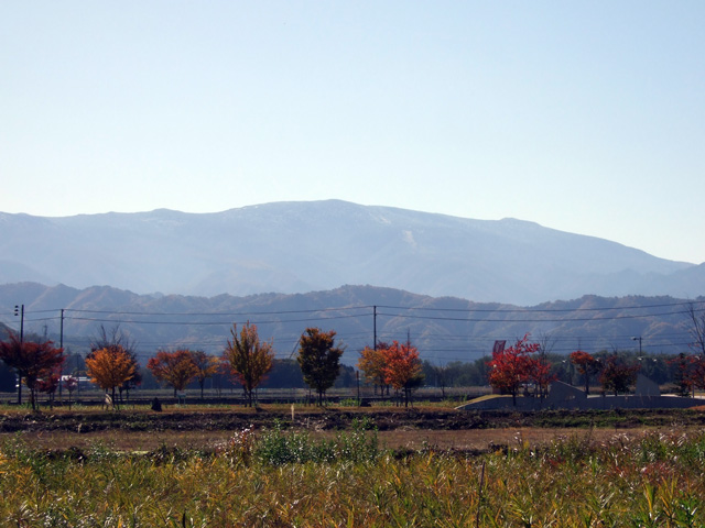 �H�̌�ȉ��]