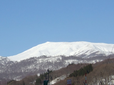 ���R������̌��R�߉e