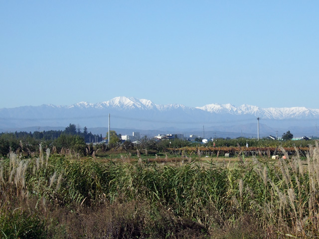 �H�̔іL���]