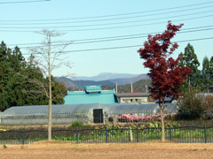 �ӏH�̑������]