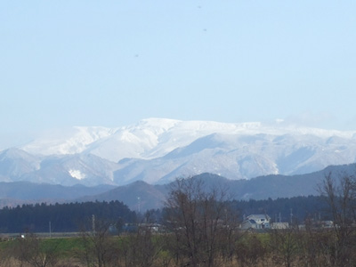 ���~�̑������]