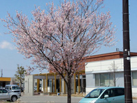 �n��Y�Ǝx���Z���^�[�G���g�����X